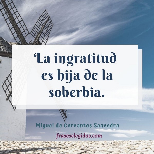 Frase de Miguel de Cervantes Saavedra - Ingratitud
