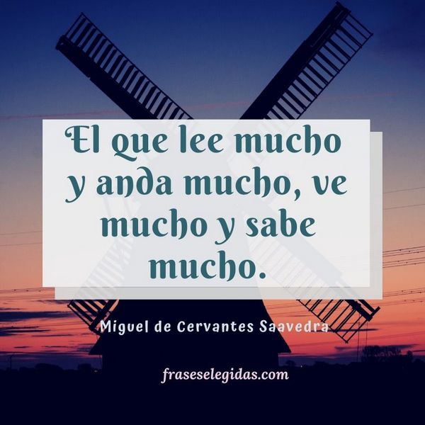 Frase de Miguel de Cervantes Saavedra - Leer